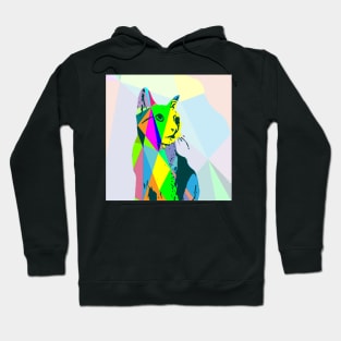 The cat geometry was sketched and then made into a low poly Hoodie